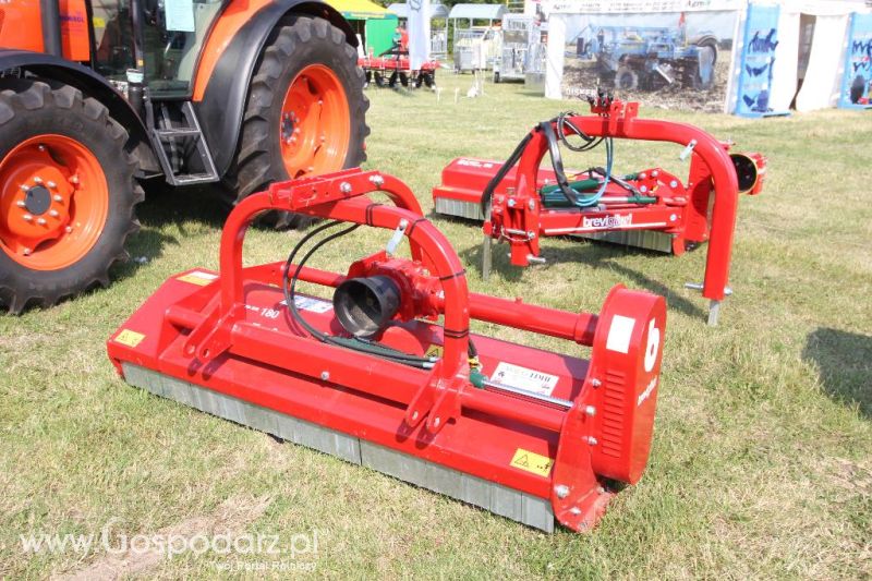 AGRO-TECH Minikowo 2014 - niedziela