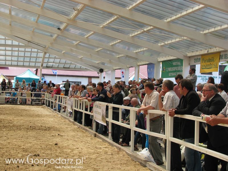 Wystawa Koni Sielinko 2011