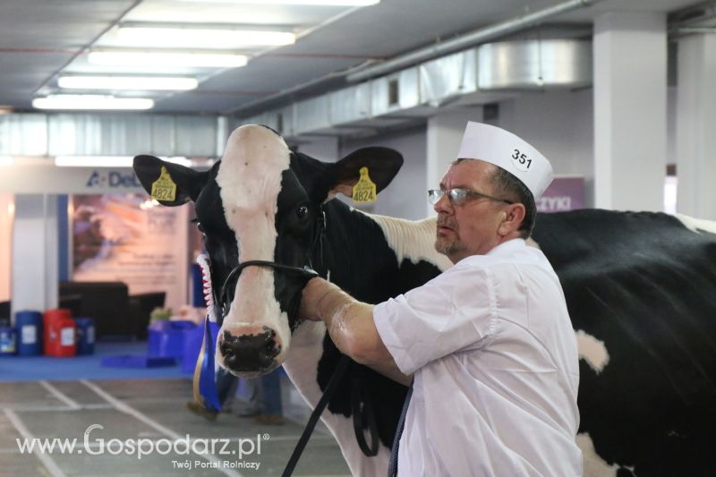 Krajowa Wystawa Zwierząt Hodowlanych w Poznaniu 2017 (piątek, 5 maja)