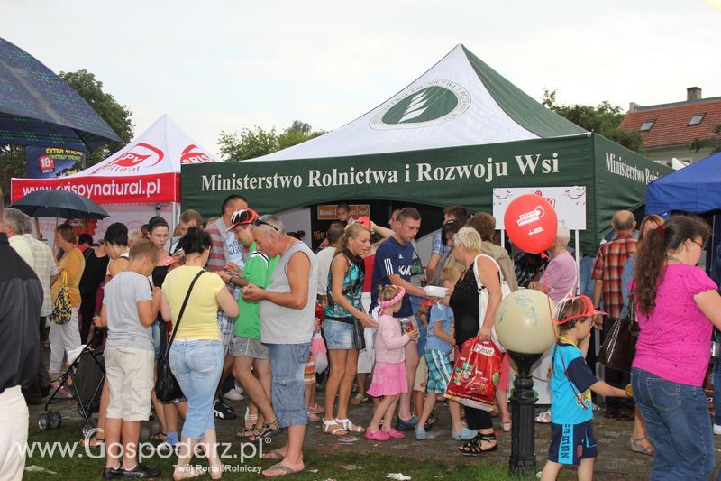 Pora na Pomidora w Gnieźnie