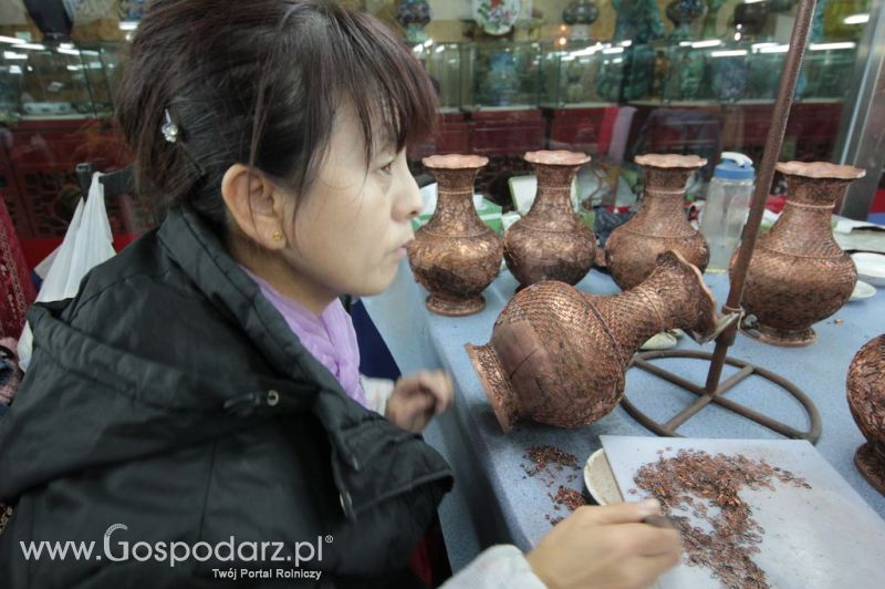Gospodarz.pl w Chinach