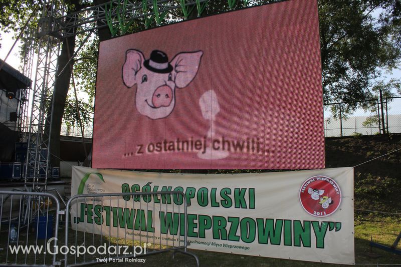 Ogólnopolski Festiwal Wieprzowiny w Łasinie