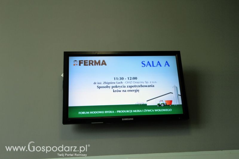 Ferma 2019 dzień 1