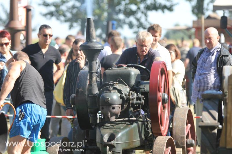 XII Festiwal Starych Ciągników im. Jerzego Samelczaka w Wilkowicach 2013 - niedziela