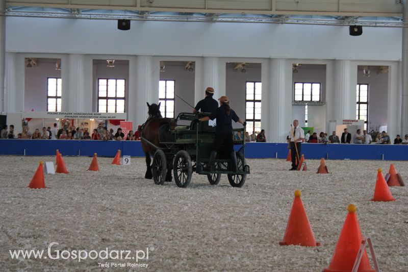 XXV Krajowa Wystawa Zwierząt Hodowlanych Niedziela