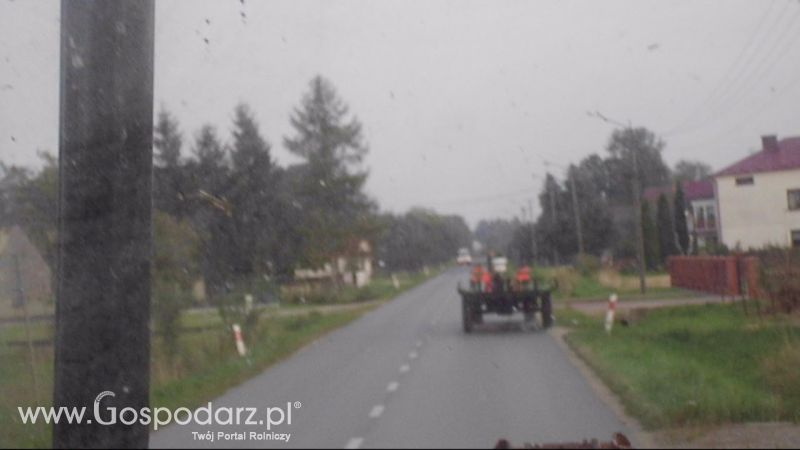 Zbiór Słomy 2013