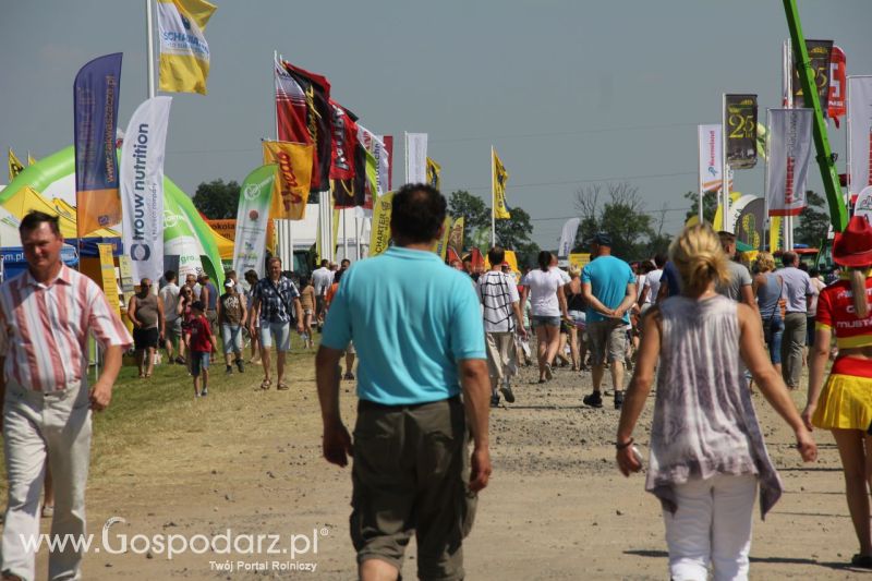 Zielone AGRO SHOW – POLSKIE ZBOŻA 2014 w Sielinku - niedziela