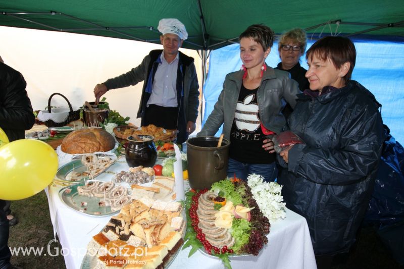 Festiwal Wieprzowiny w Bełżycach - niedziela