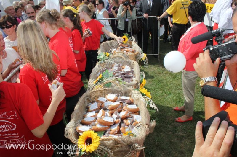 Świętomięs Polski w Chorzowie