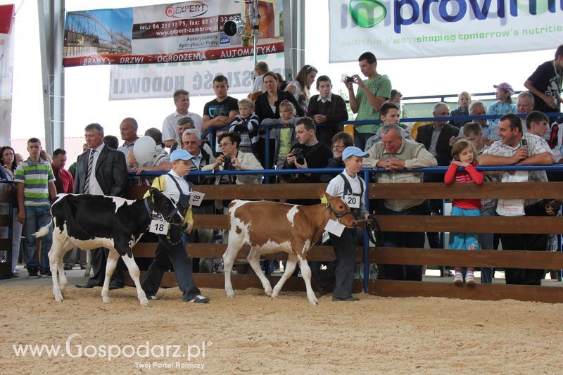 Młody hodowca na XVIII Regionalnej Wystawie Zwierząt Hodowlanych w Szepietowie