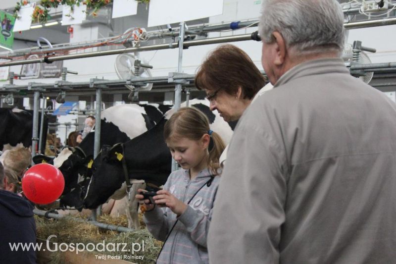 XXVI Krajowa Wystawa Zwierząt Hodowlanych - sobota i niedziela