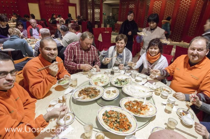 Gospodarz.pl w Chinach