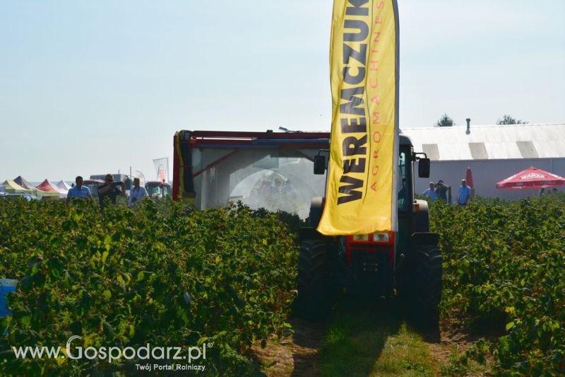 Malinowe factory - pokazy opryskiwacza tunelowego NESTOR 