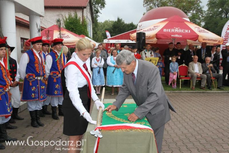 I Krajowa Wystawa Bydła Mięsnego w Sielinku - sobota