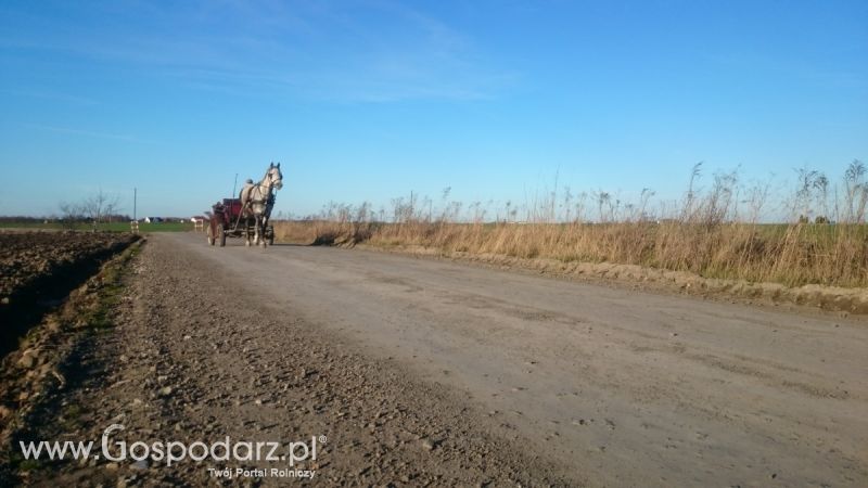 Wiosenny przegląd pól