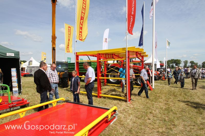 Zielone AGRO SHOW - Polskie Zboża 2015 w Sielinku