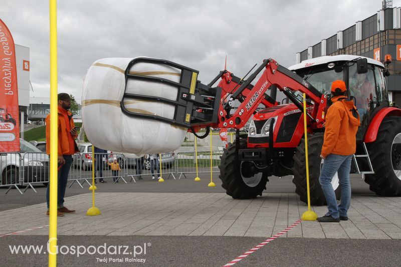 Precyzyjny Gospodarz na KWZH 2015 - niedziela