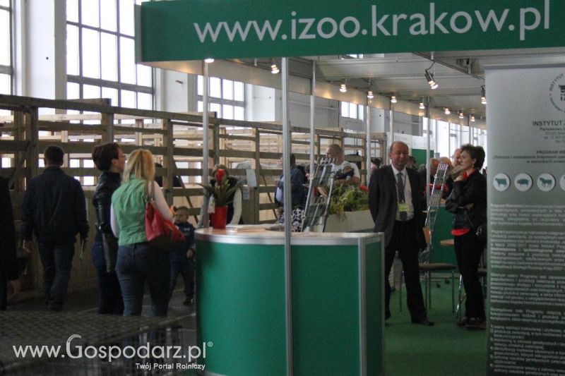 XXVI Krajowa Wystawa Zwierząt Hodowlanych - sobota i niedziela
