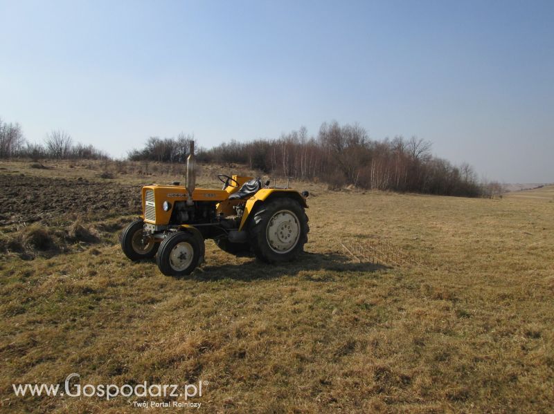 Fotki z wiosny 2015