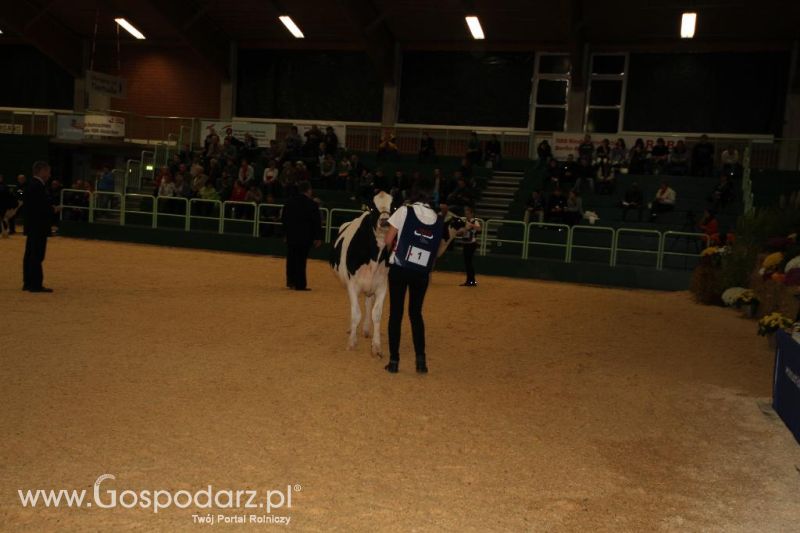 Wystawa  Blickpunkt Rind 2013 w miejscowości Paaren/Glien (Niemcy)