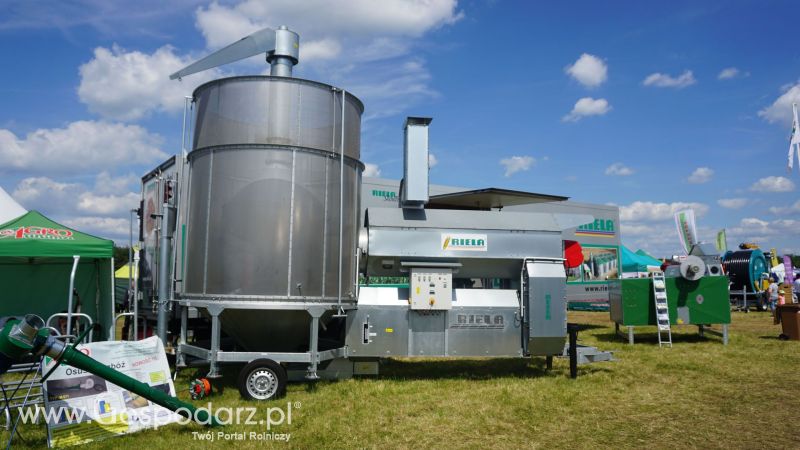 Opolagra 2017