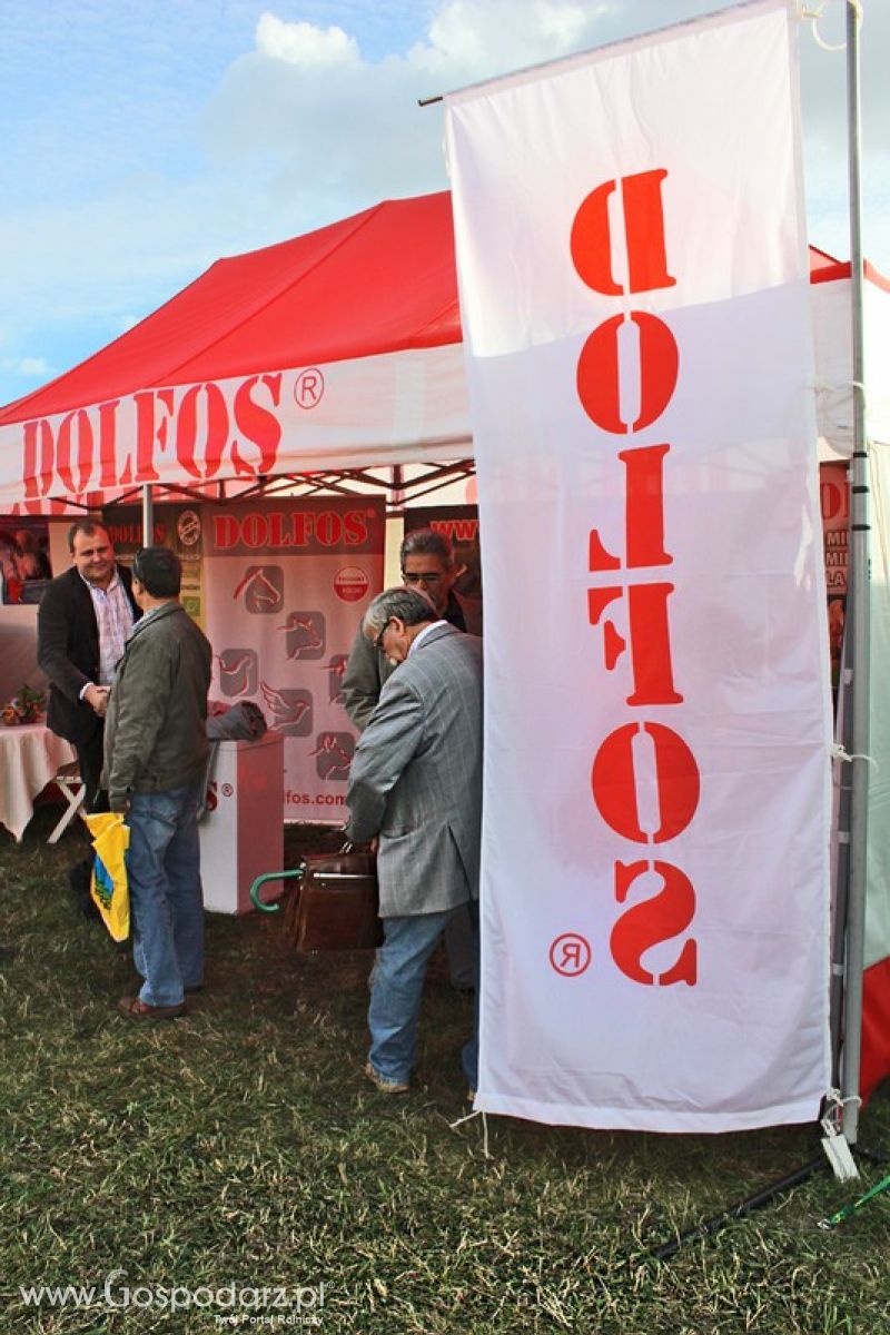Dolfos na Agro Show w Bednarach