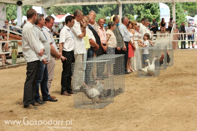 Zielone AGRO SHOW – POLSKIE ZBOŻA 2014 w Sielinku - niedziela