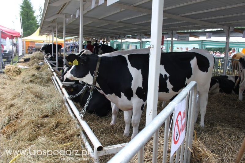 Relacja Foto Agro-Tech Minikowo 2012