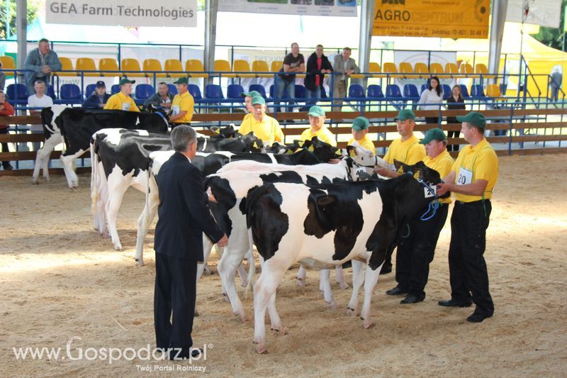 XVIII Regionalna Wystawa Zwierząt Hodowlanych i Dni z Doradztwem Rolniczym w Szepietowie - Sobota