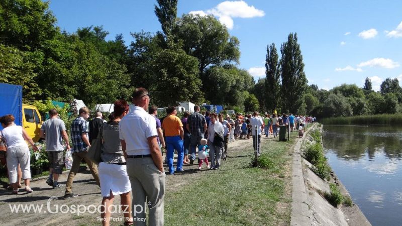 XVII Pałuckie Targi Rolne i XI Pałucka Wystawa Zwierząt Hodowlanych w Żninie