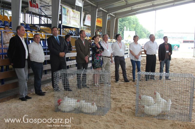 Regionalna Wystawa Zwierząt Hodowlanych i Dni z Doradztwem Rolniczym w Szepietowie-niedziela