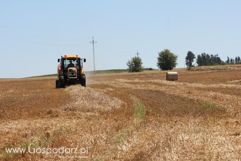 Zetor Family Tractor Show 2013 - Opatów