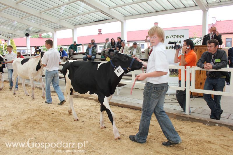 Wystawa bydła Sielinko 2011