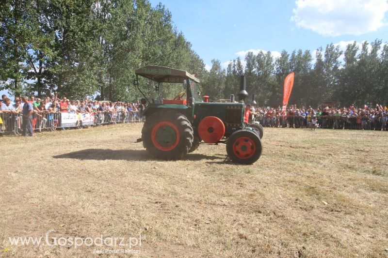 XII Festiwal Starych Ciągników im. Jerzego Samelczaka w Wilkowicach 2013 - niedziela