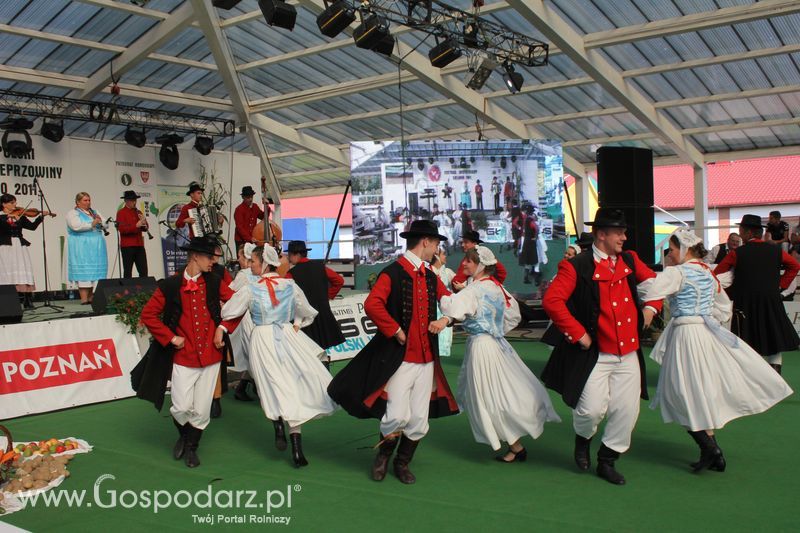 Ogólnopolski Festiwal Wieprzowiny w Sielinku
