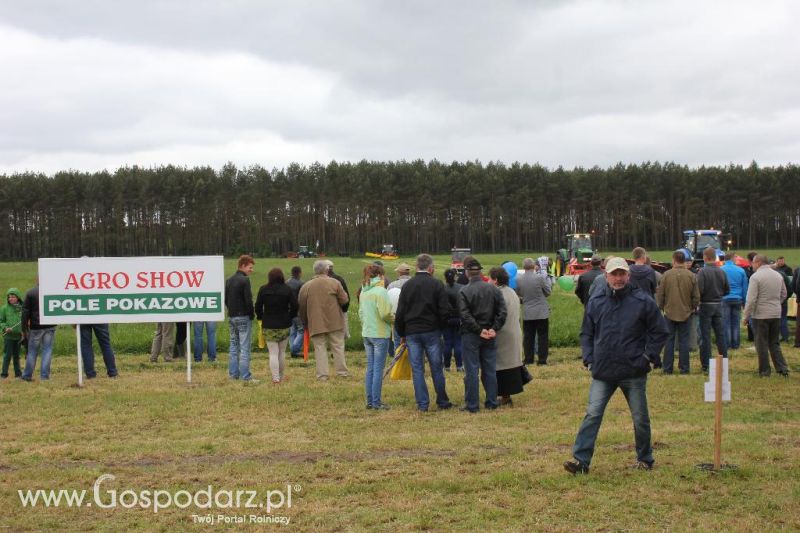 Polskie Zboża i Zielone Agro Show 2013