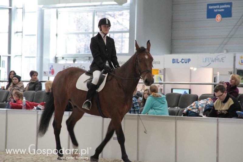 CAVALIADA 2013 w Poznaniu