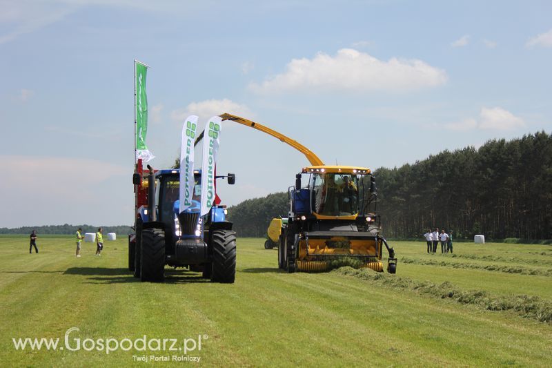Zielone Agro Show pokaz maszyn rolniczych