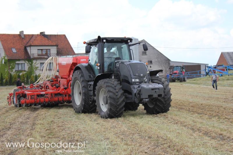 Pokazy polowe Romanów k/Krotoszyna