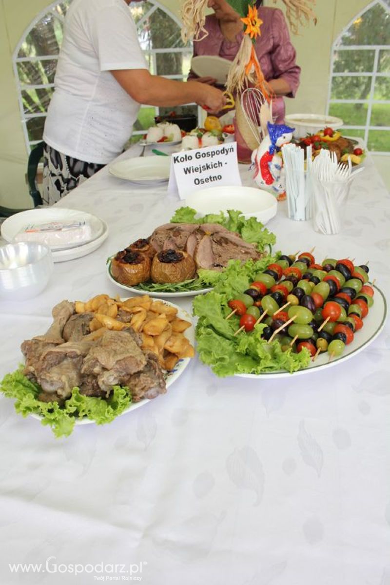 VIII Święto Gęsi - Konkurs kulinarny Najlepsza potrawa z Gęsi