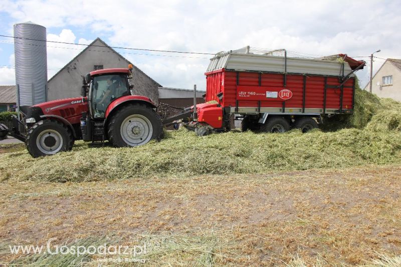 Pokazy polowe Romanów k/Krotoszyna