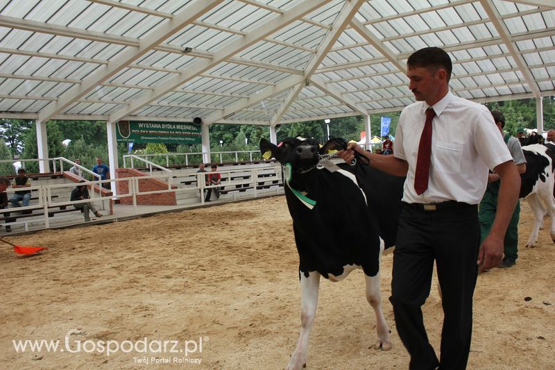 Wystawa bydła Sielinko 2011