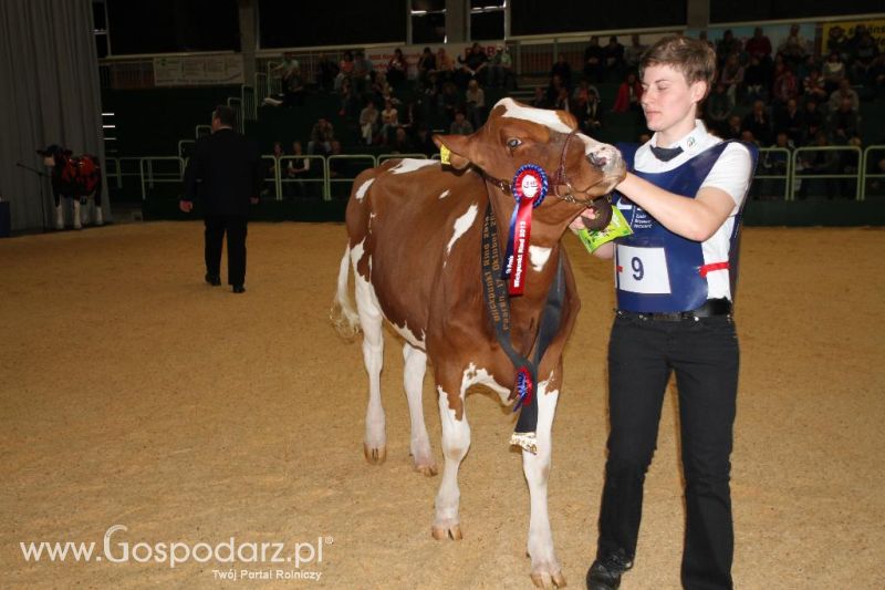 Wystawa  Blickpunkt Rind 2013 w miejscowości Paaren/Glien (Niemcy)