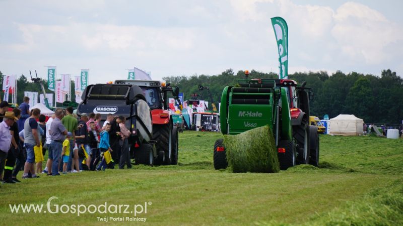ZIELONE AGRO SHOW 2017 w Ułężu