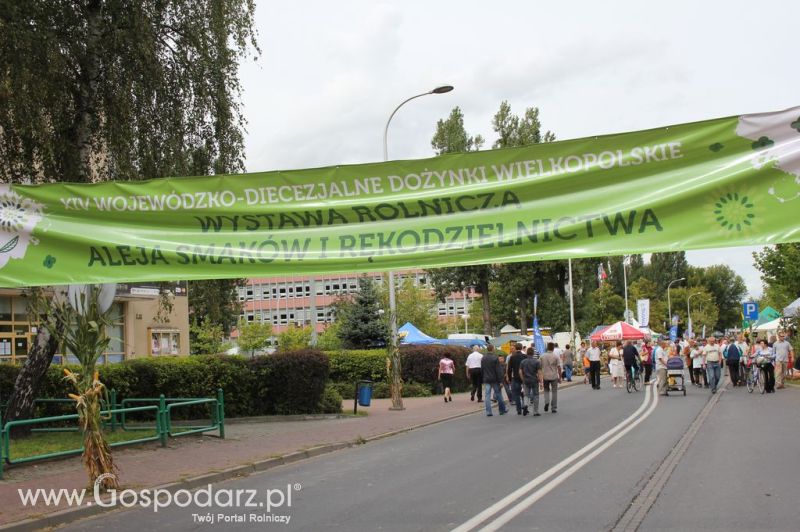 XIV Wojewódzko-Diecezjalne Dożynki Wielkopolskie w Ostrowie Wielkopolskim