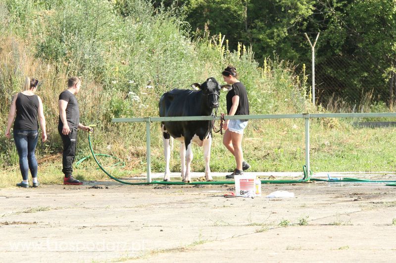 Targi Opolagra 2018