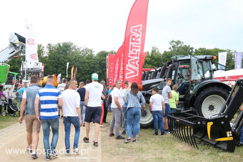 Regionalna Wystawa Zwierząt Hodowlanych i Dni z Doradztwem Rolniczym w Szepietowie 2017