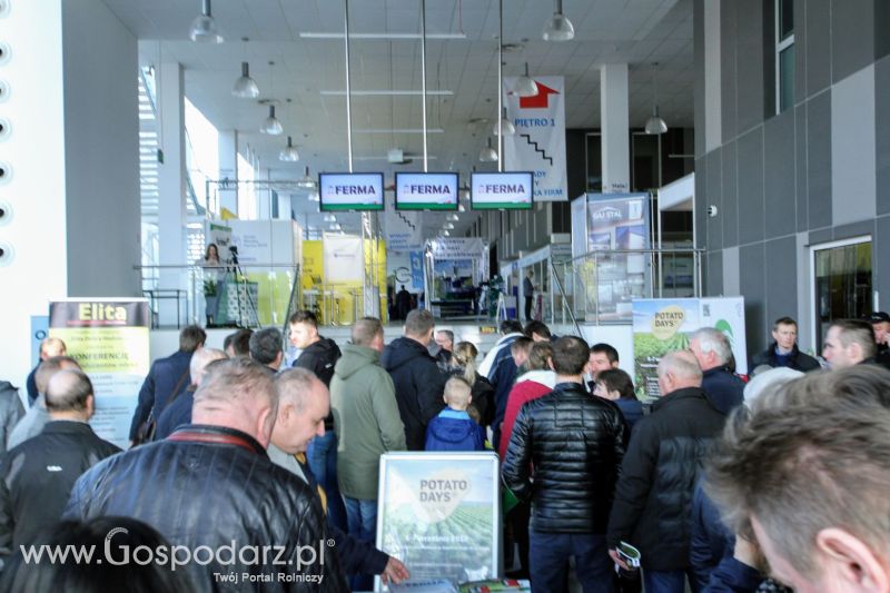 Ferma 2019 dzień 3