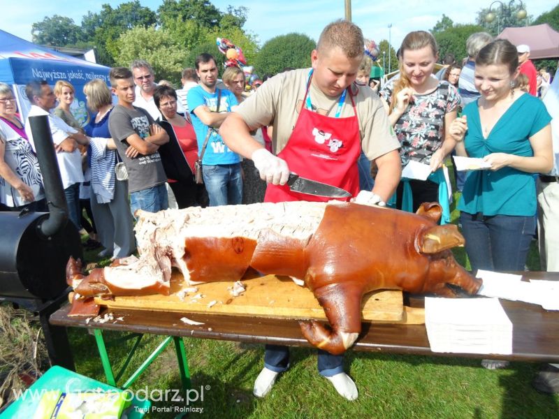 II Festiwal Wieprzowiny w Kwidzyniu