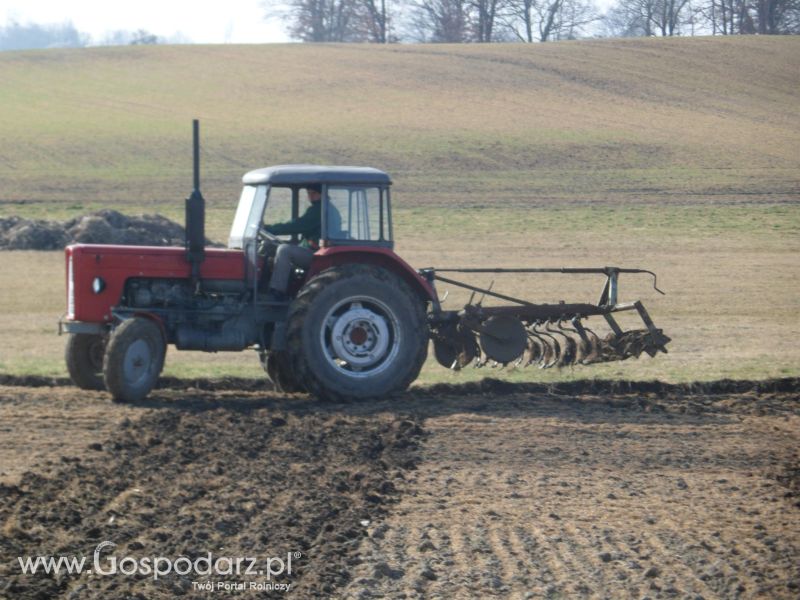 Wiosenne Przesiewki 2012 